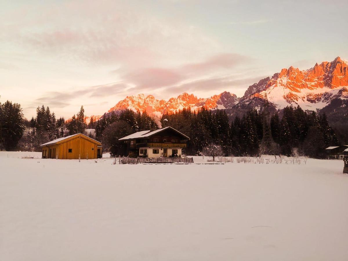Going Artenreich Going am Wilden Kaiser Exterior photo