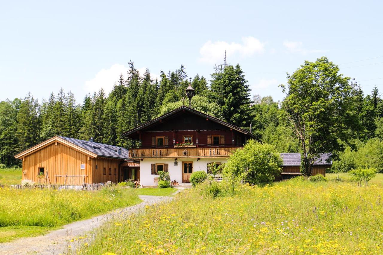 Going Artenreich Going am Wilden Kaiser Exterior photo